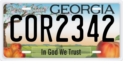 GA license plate COR2342