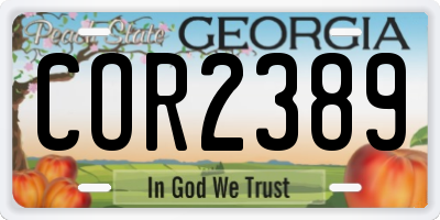 GA license plate COR2389