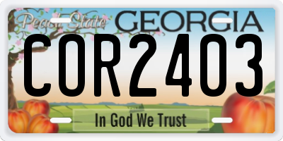 GA license plate COR2403