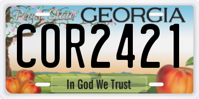 GA license plate COR2421