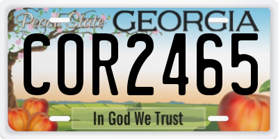 GA license plate COR2465