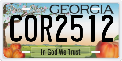 GA license plate COR2512