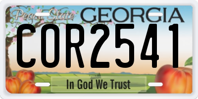 GA license plate COR2541