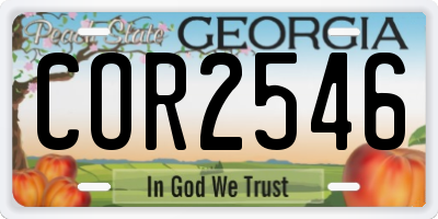 GA license plate COR2546