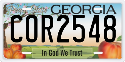 GA license plate COR2548