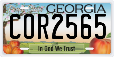 GA license plate COR2565