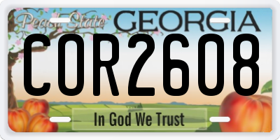 GA license plate COR2608