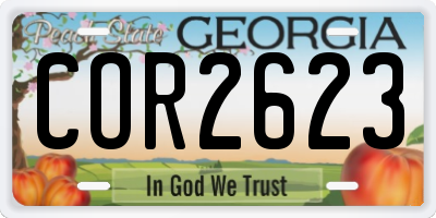 GA license plate COR2623