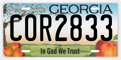 GA license plate COR2833