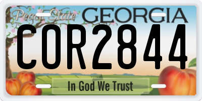 GA license plate COR2844