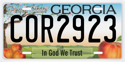 GA license plate COR2923