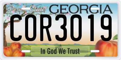 GA license plate COR3019