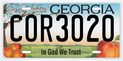 GA license plate COR3020