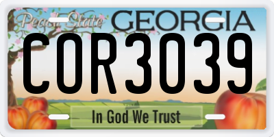 GA license plate COR3039