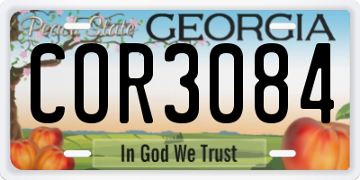 GA license plate COR3084