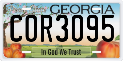 GA license plate COR3095