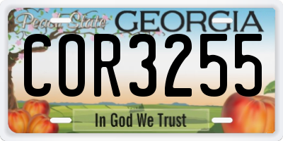 GA license plate COR3255