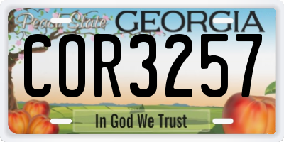 GA license plate COR3257