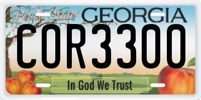GA license plate COR3300