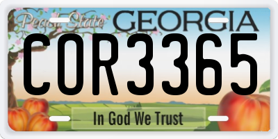GA license plate COR3365