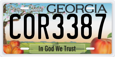 GA license plate COR3387