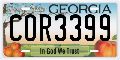 GA license plate COR3399