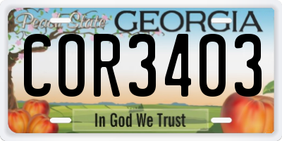 GA license plate COR3403