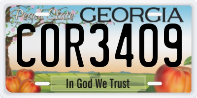 GA license plate COR3409