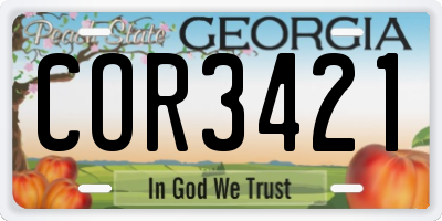 GA license plate COR3421