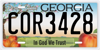 GA license plate COR3428