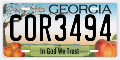 GA license plate COR3494