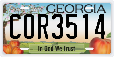 GA license plate COR3514
