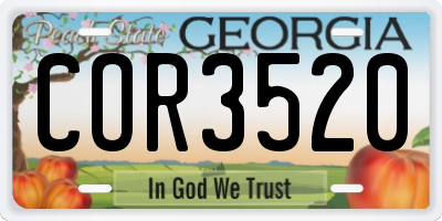 GA license plate COR3520