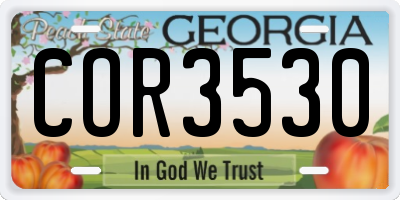 GA license plate COR3530
