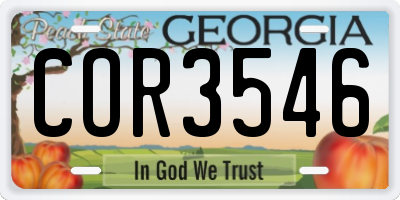 GA license plate COR3546