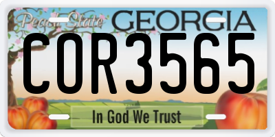 GA license plate COR3565