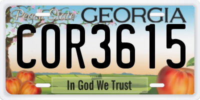 GA license plate COR3615