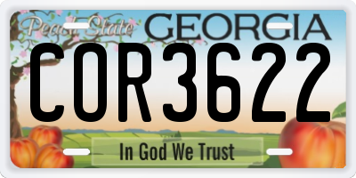 GA license plate COR3622