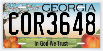 GA license plate COR3648
