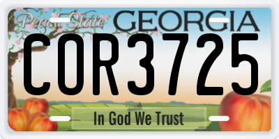 GA license plate COR3725