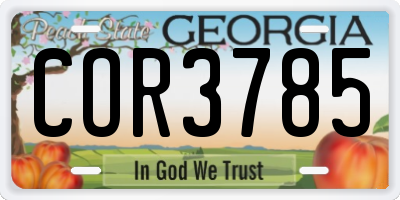 GA license plate COR3785