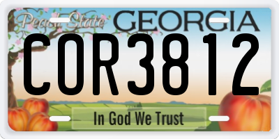 GA license plate COR3812