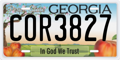 GA license plate COR3827
