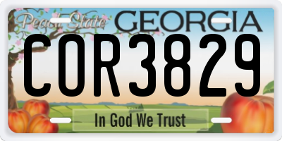 GA license plate COR3829