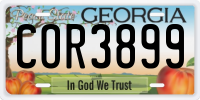 GA license plate COR3899