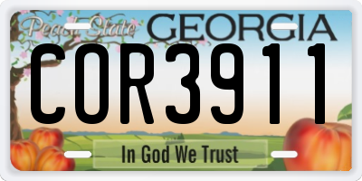 GA license plate COR3911