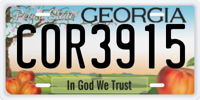 GA license plate COR3915