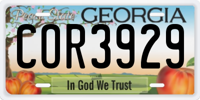 GA license plate COR3929