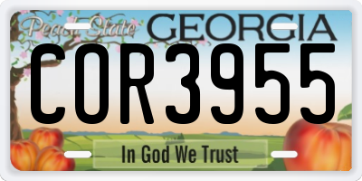 GA license plate COR3955