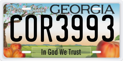 GA license plate COR3993